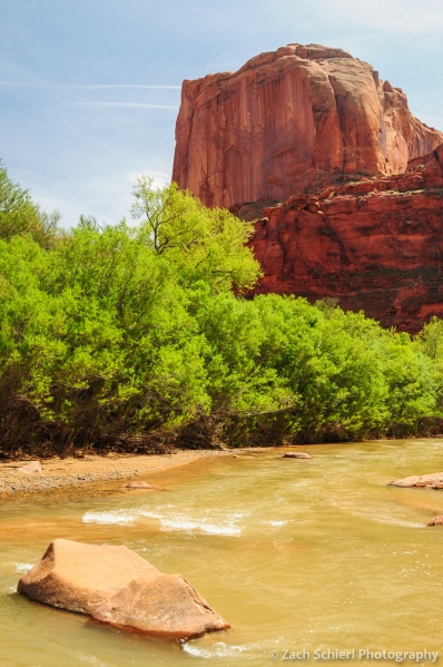 Confluence of Escalante River with Coyote Gulch, Utah
