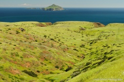 A view of an island covered in green grass with the deep-blue ocean and other islands in the background