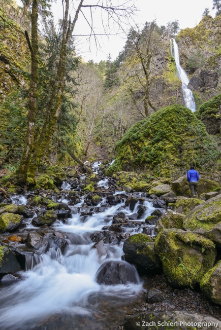 A waterfall and cascade flows through a verdant forest as a hiker looks on.